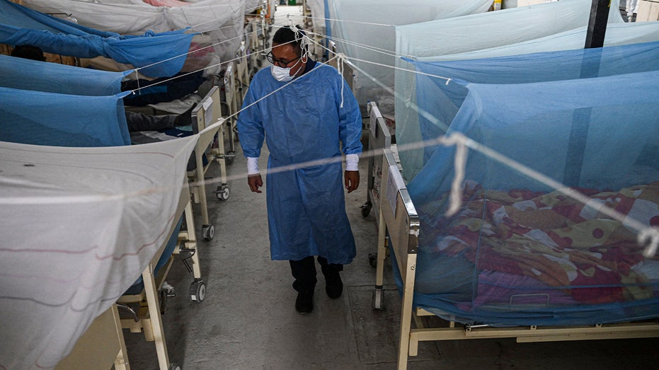 Dengue outbreak in Peru reaches 200K cases, 200 dead, heightened by El Niño rains