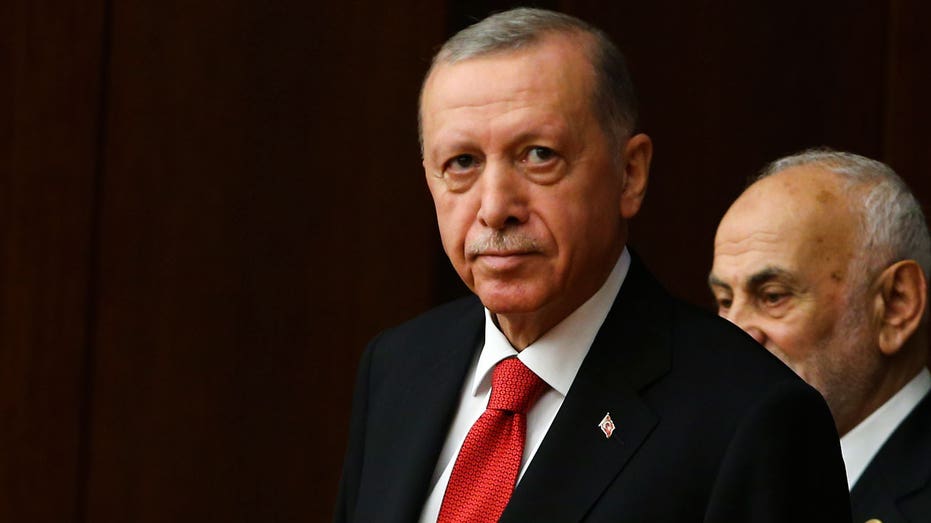 Turkish President Tayyip Erdogan plans to visit Russia to discuss collapsed Ukrainian grain deal