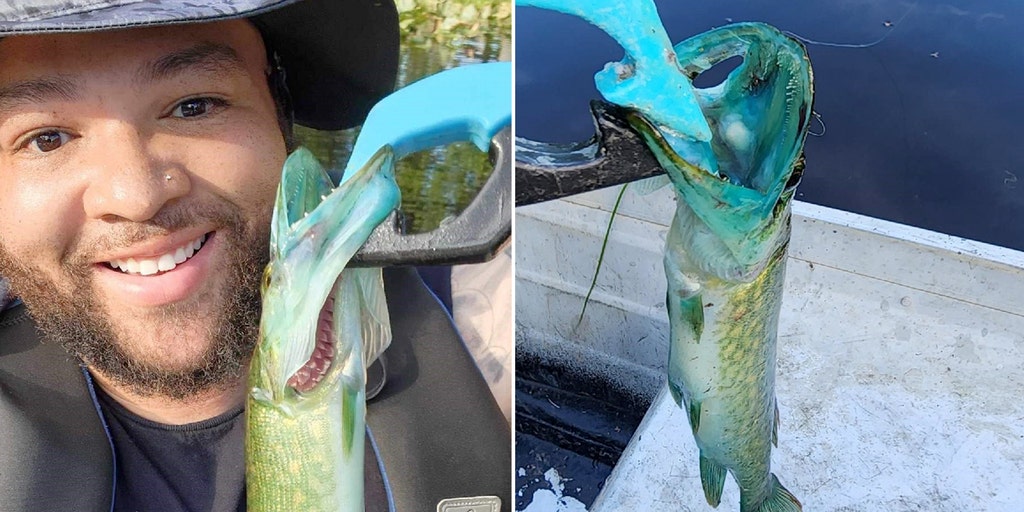 Once in a lifetime' catch: Virginia fisherman reels in rare blue