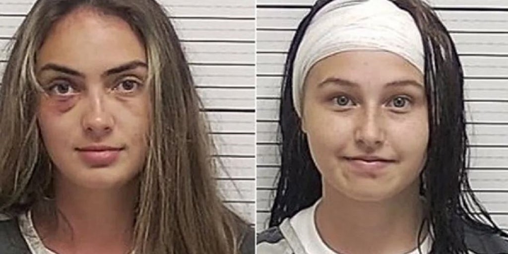 Florida women arrested after July 4 fight in which woman's ear was bitten off - Vimarsana News
