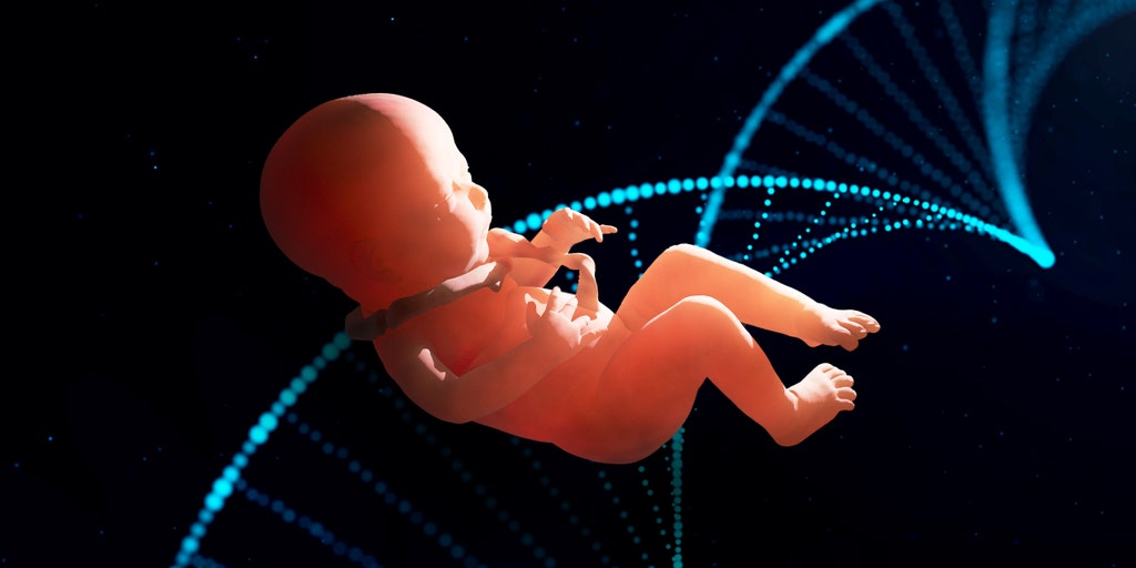 Vatican preparing document examining gender theory, surrogate pregnancy - Vimarsana News