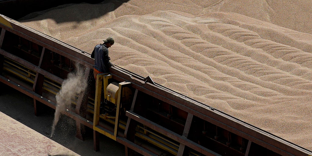 Ukrainian grain export ban extended by 5 EU countries in effort to protect farmers' interests - Vimarsana News