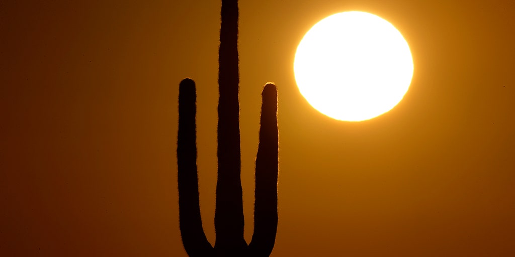 AZ woman died on sweltering day after her electricity was cut off due to $51 debt; now companies must adapt - Vimarsana News