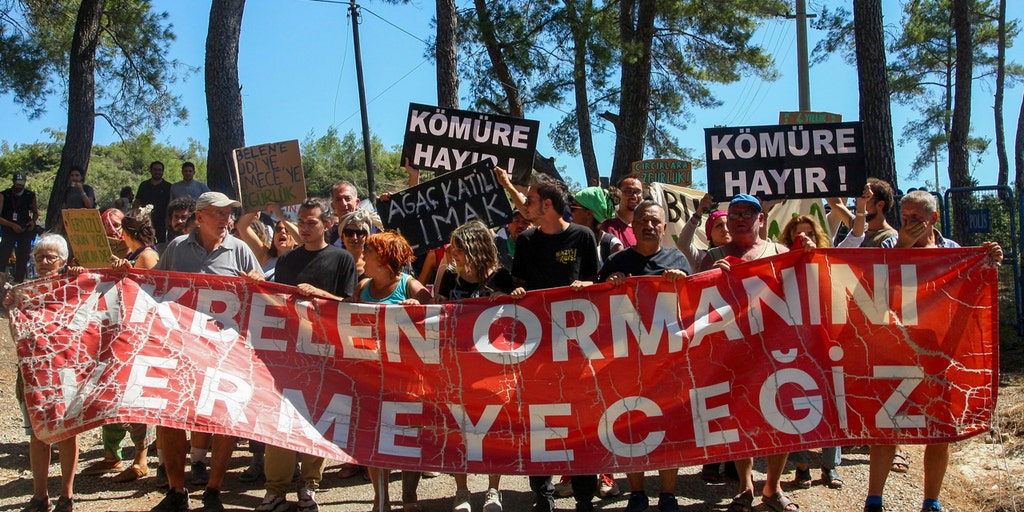 Environmental campaigners vow to persist as tree-felling for coal-mining in Turkish woodlands concludes - Vimarsana News