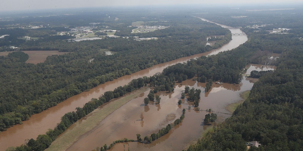 North Carolina health officials put eating limits on fish due to contamination from 'forever chemicals' - Vimarsana News