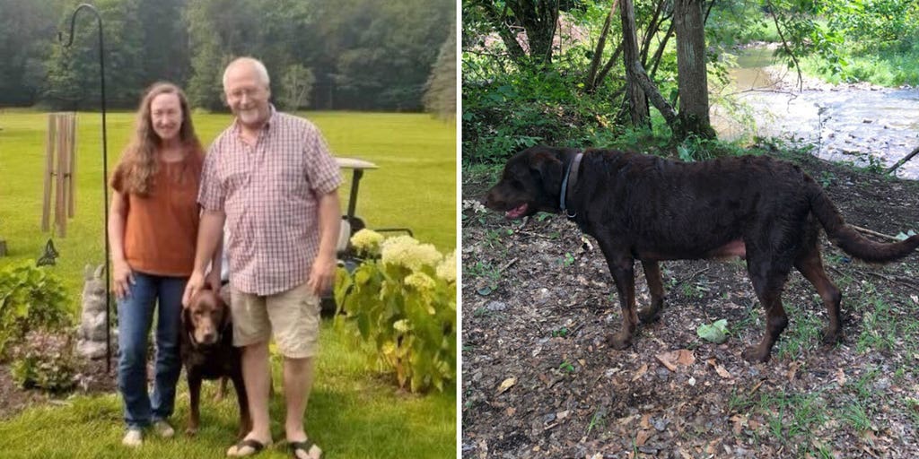 Meet the couple and their dog who found alleged murderer on the lam from the law - Vimarsana News