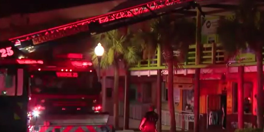 Dozens of animals killed in Florida wildlife center fire - Vimarsana News