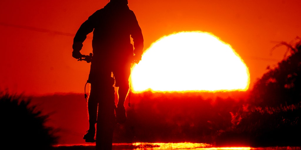 Germany, Austria brace for weekend heat wave as temps near 100 - Vimarsana News