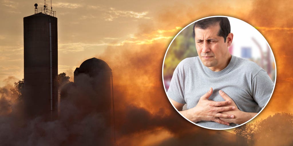 Heart attack death risk can double during heat waves and high pollution, study finds: 'A perfect storm' - Vimarsana News