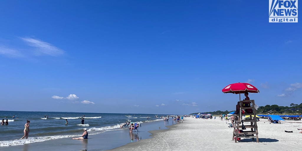 Shark bites man at Hilton Head Island beach in South Carolina, officials say - Vimarsana News