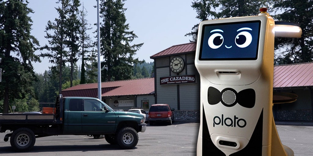 A struggling restaurant owner hired a robot to help her servers. Then the angry messages began. - Vimarsana News
