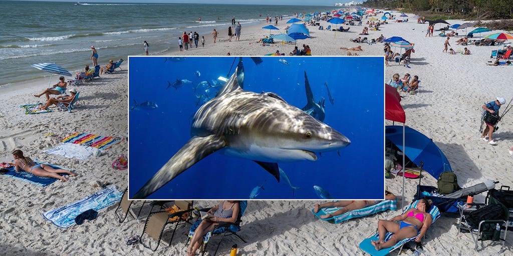 Florida beach vacation hotspot closed after back-to-back shark attacks