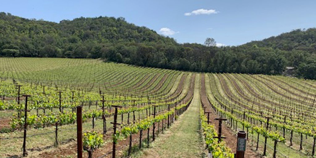 36 hours in Napa Valley: How to plan for a great weekend ahead - Vimarsana News