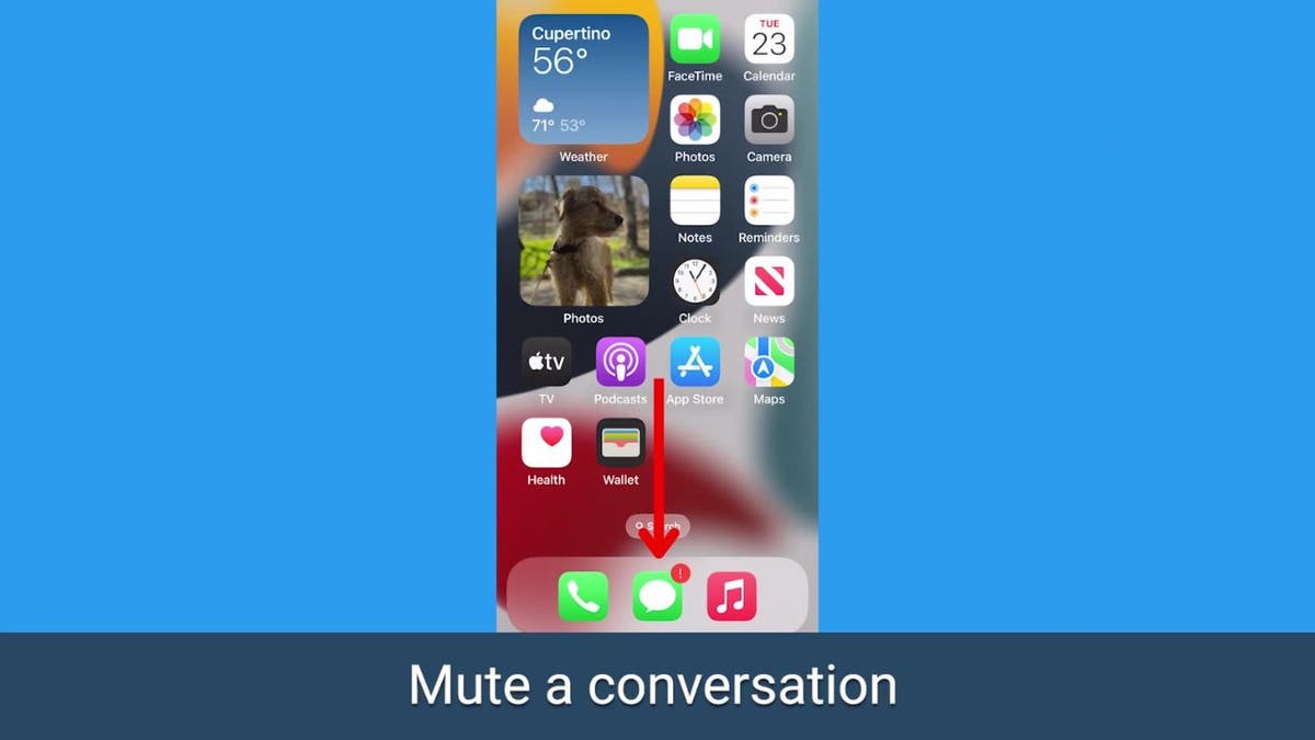 iPhone screengrab