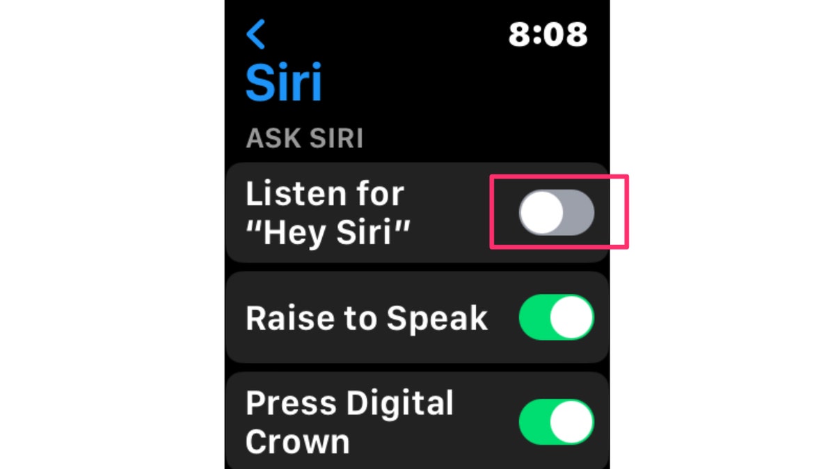 Screenshot of the Siri screen.
