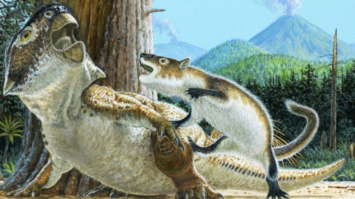 An illustration of a dinosaur being attacked by a mammal