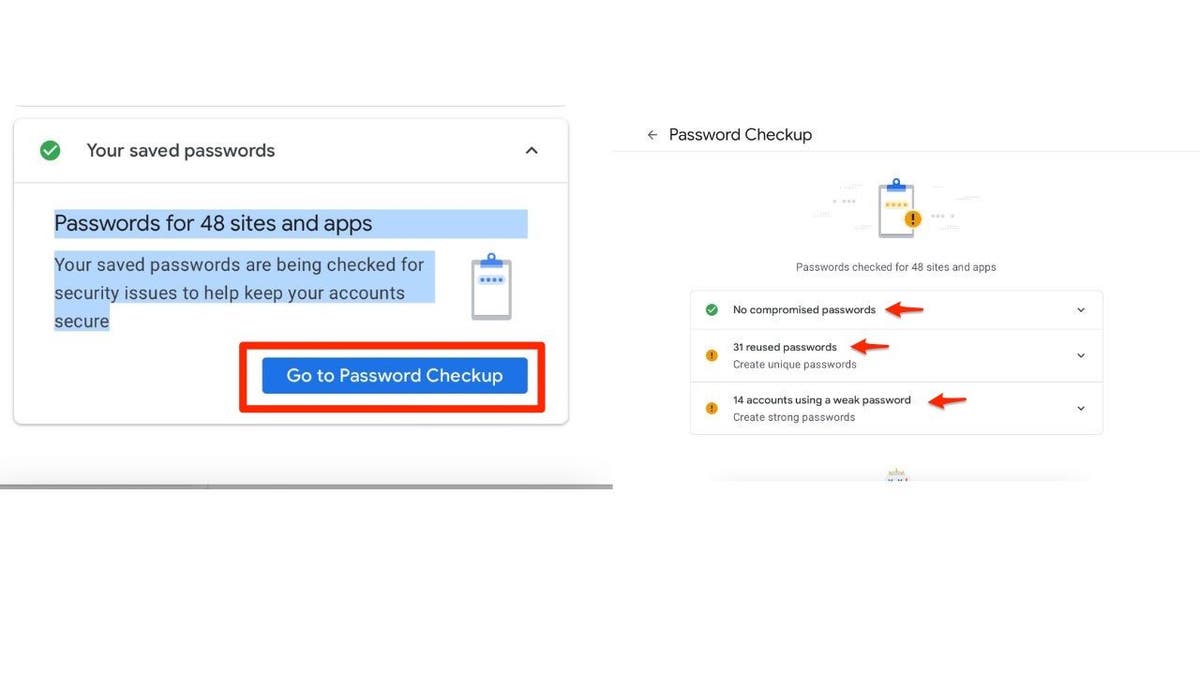 Screenshot of the Password Checkup screen.