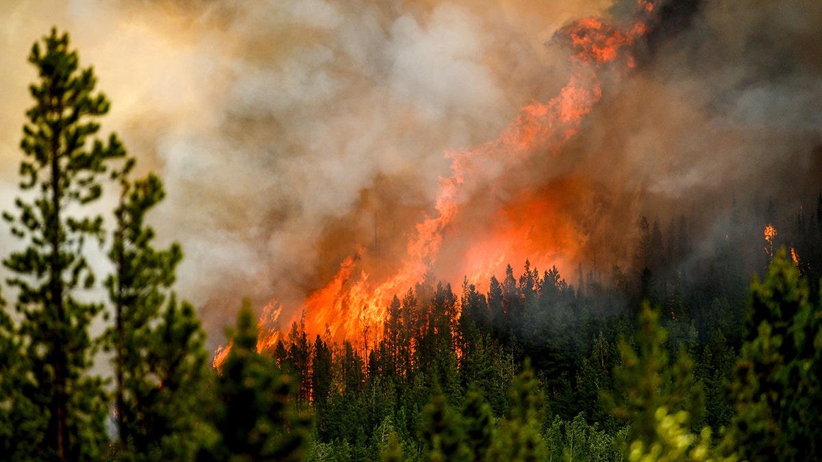 Flames from the Donnie Creek wildfire