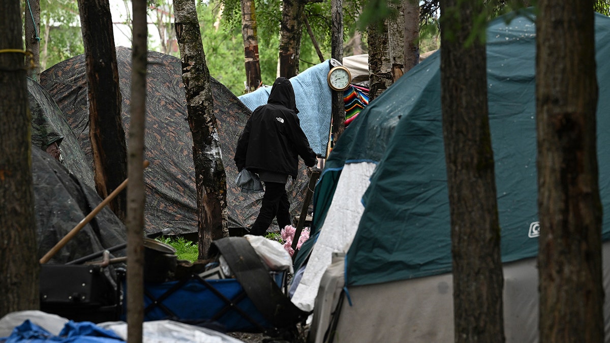 Tents fill a homeless camp near Davis Park in Mountain View