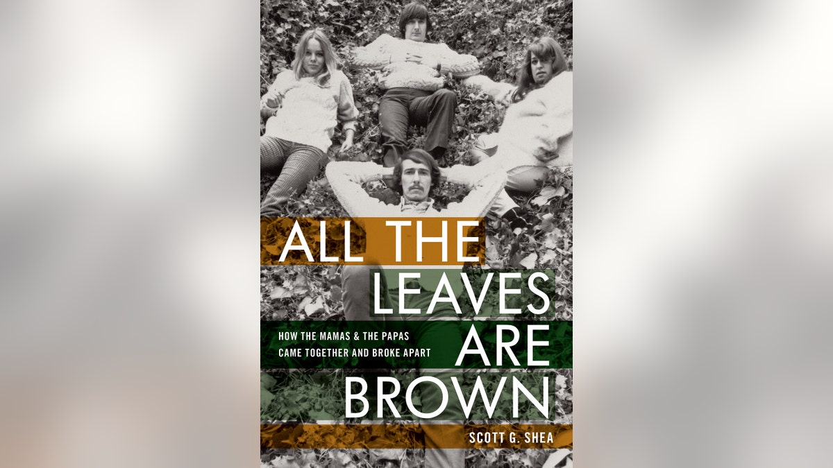 All the Leaves are brown book cover