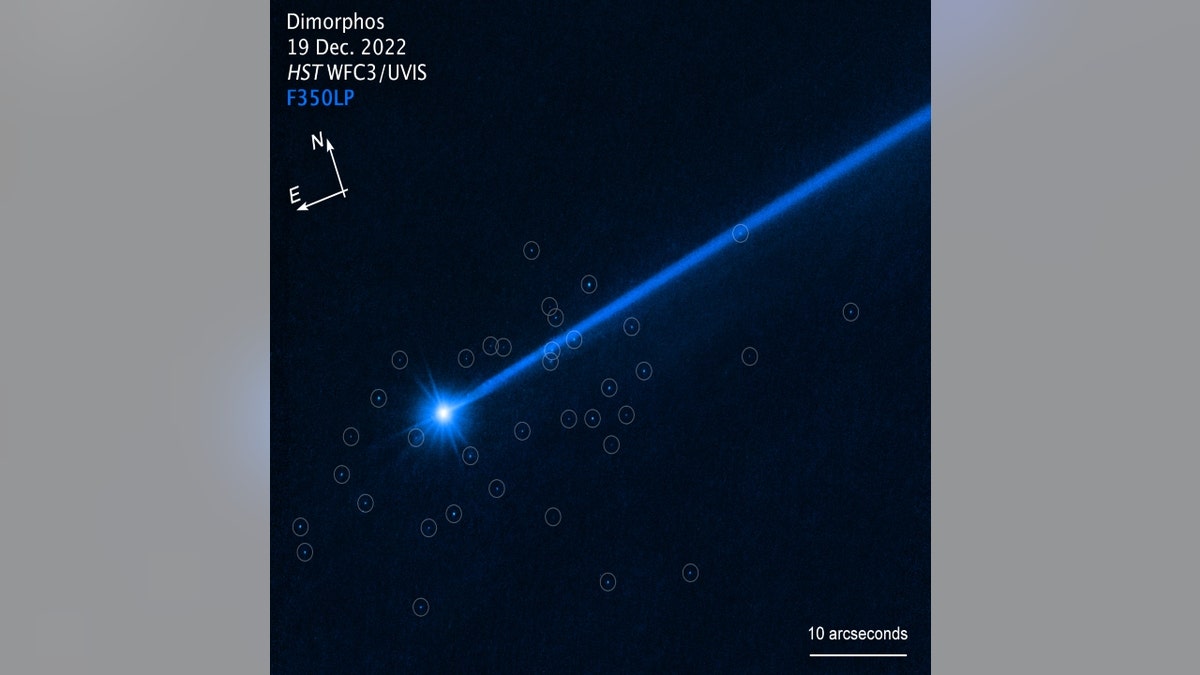 The asteroid Dimorphos and boulders