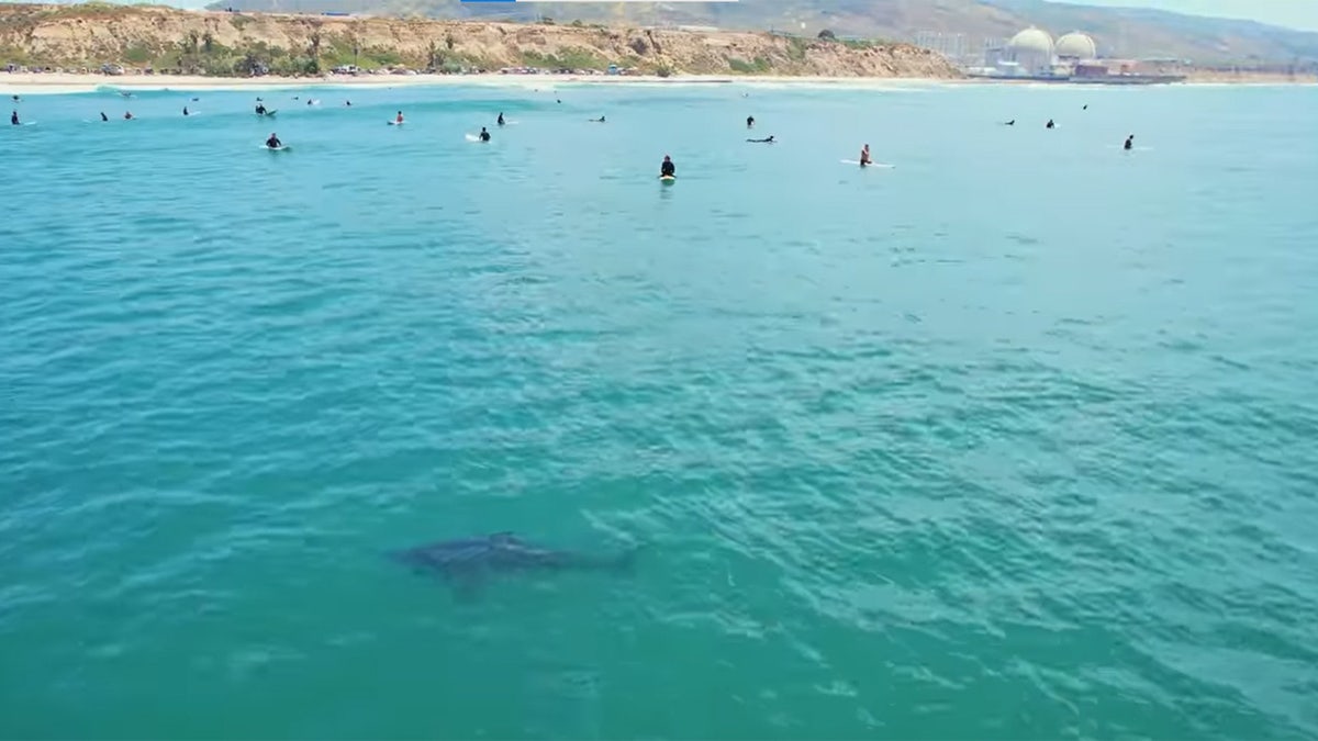 San Onofre State Beach in San Diego County California