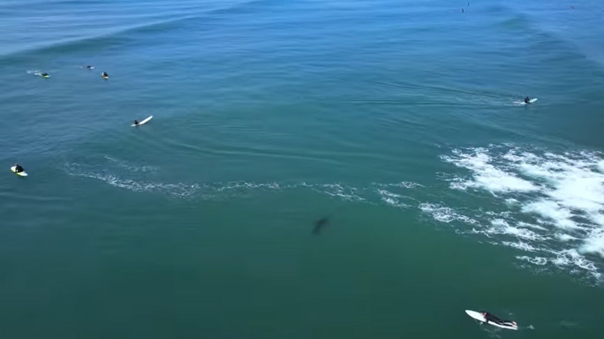 San Onofre State Beach in San Diego California