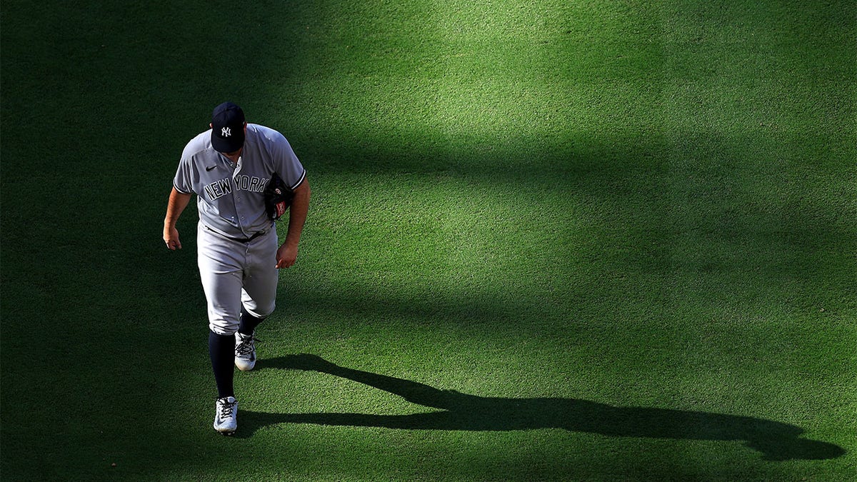 Yankees Pitcher Tommy Kahnle Destroys Dugout Fan During Outburst In ...