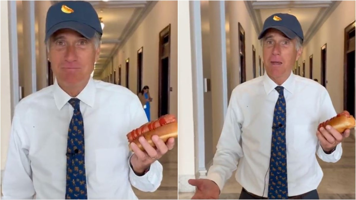 Mitt Romney hot dog