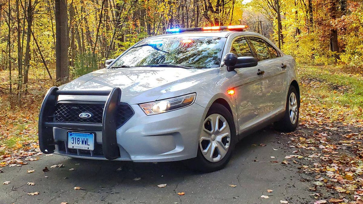 Connecticut State Police vehicle in forest road