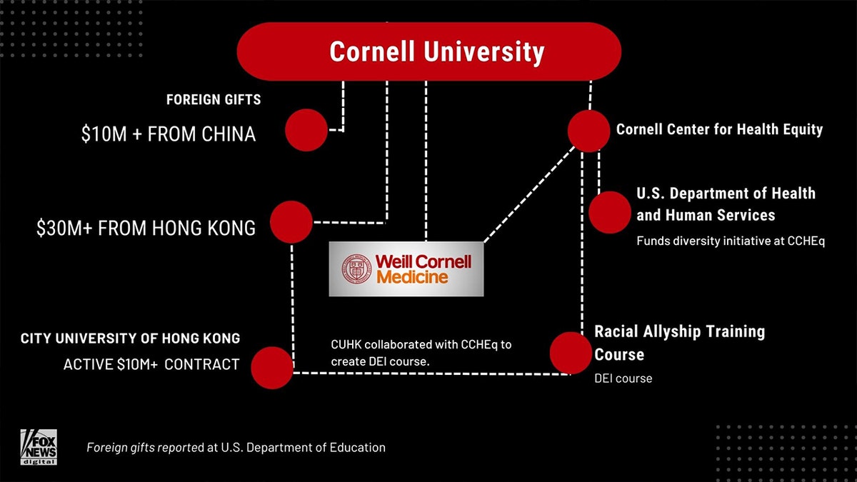 Weill Cornell Medicine China funding