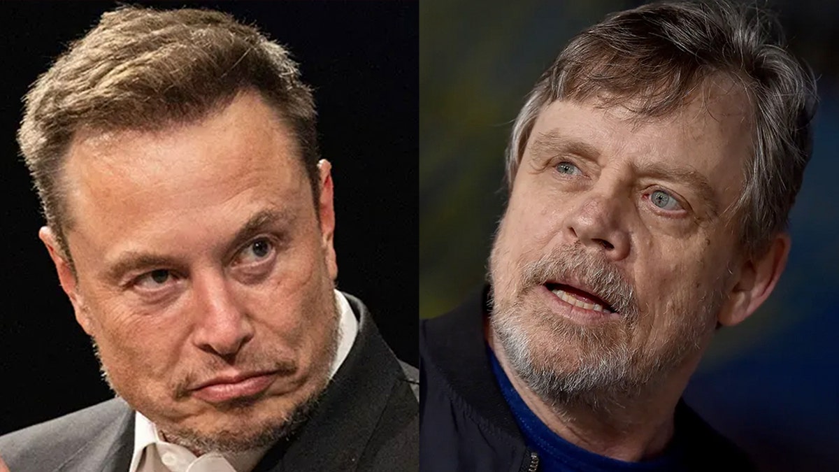 Actor Mark Hamill is calling on other Twitter users to boycott the site on Aug. 1 in an apparent attempt to protest Elon Musk’s ownership of the social media platform.