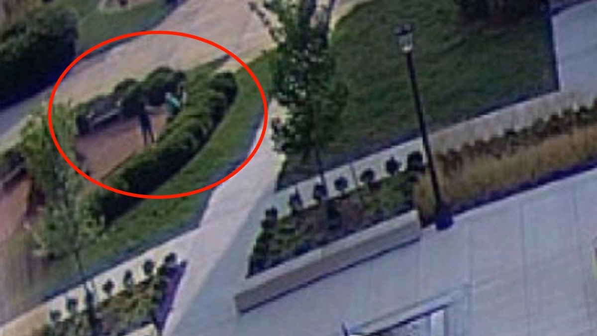 Surveillance footage shows Macedo standing over Emerson on a park bench