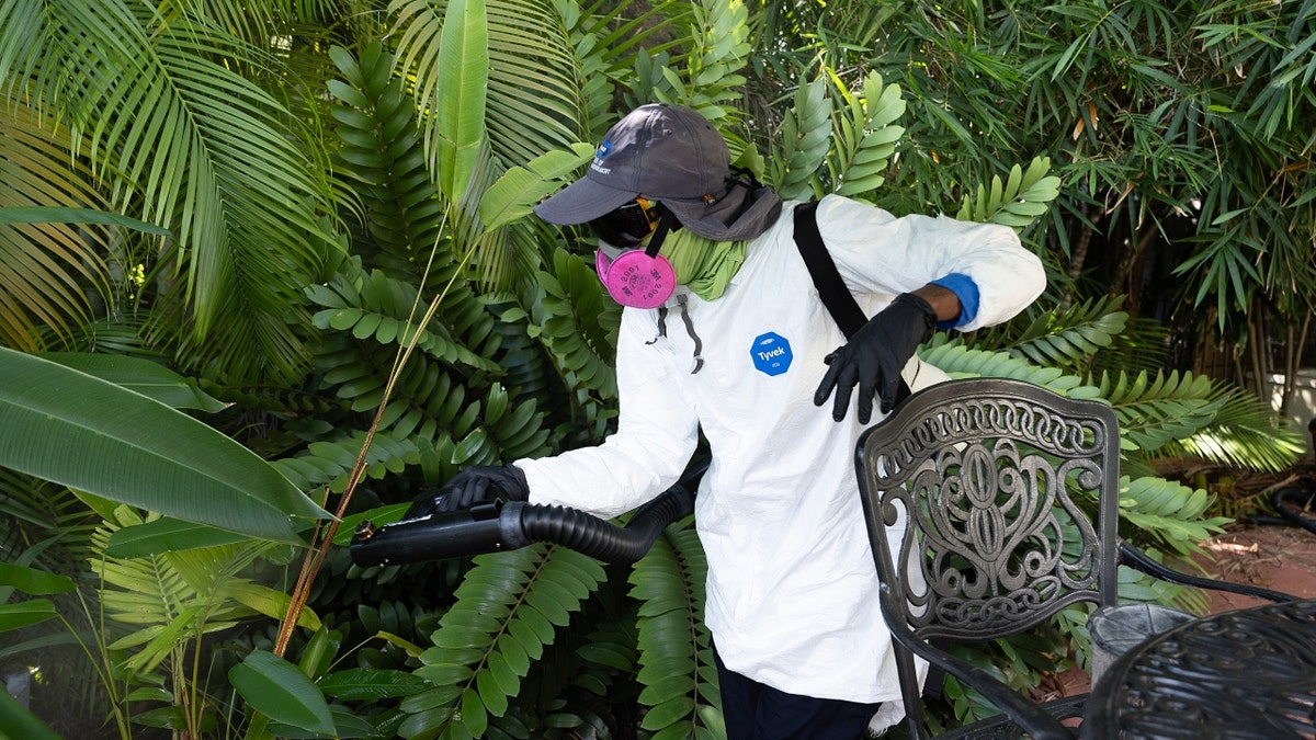 A Miami-Dade Mosquito Control inspector sprays a pesticide to kill adult mosquitos