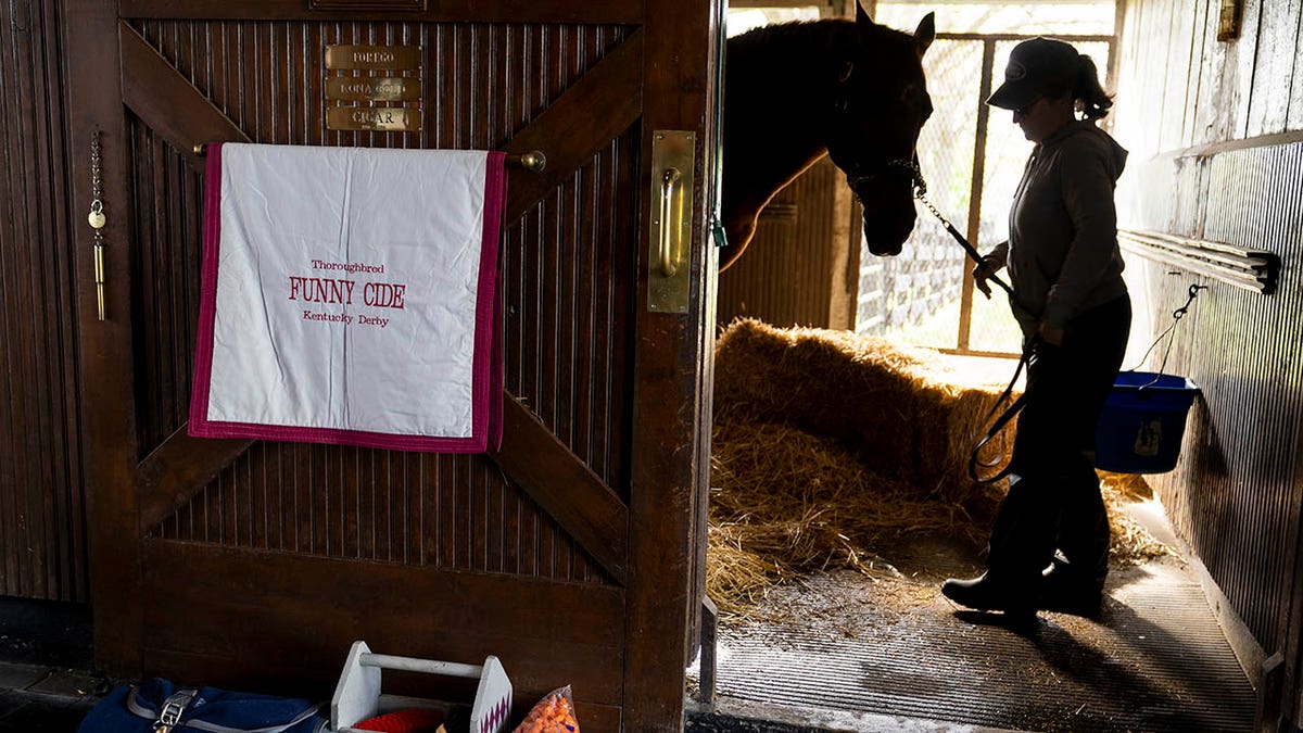 Funny Cide standing in his stall