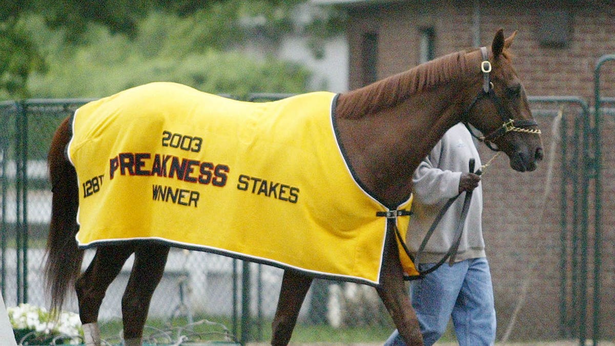 Funny Cide walks out of the barn at Belmont race track