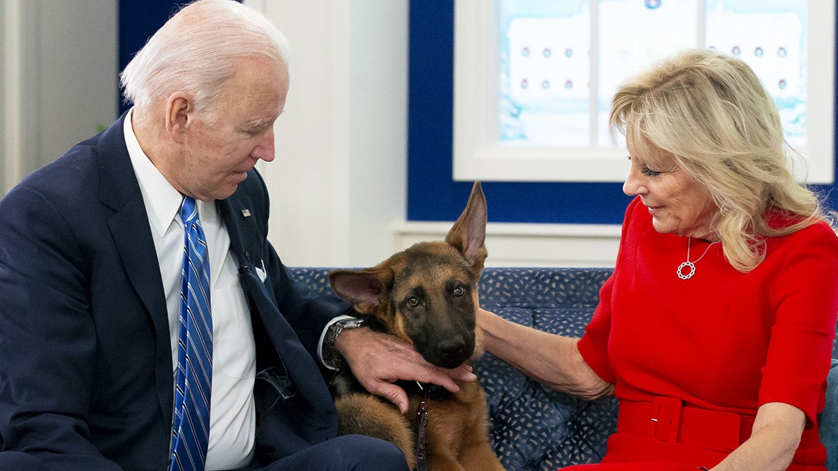 Joe Biden, Jill Biden, Commander dog