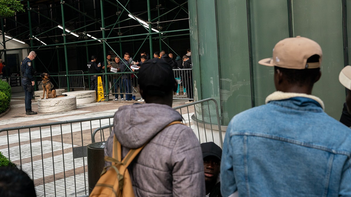New York City lines of asylum seekers