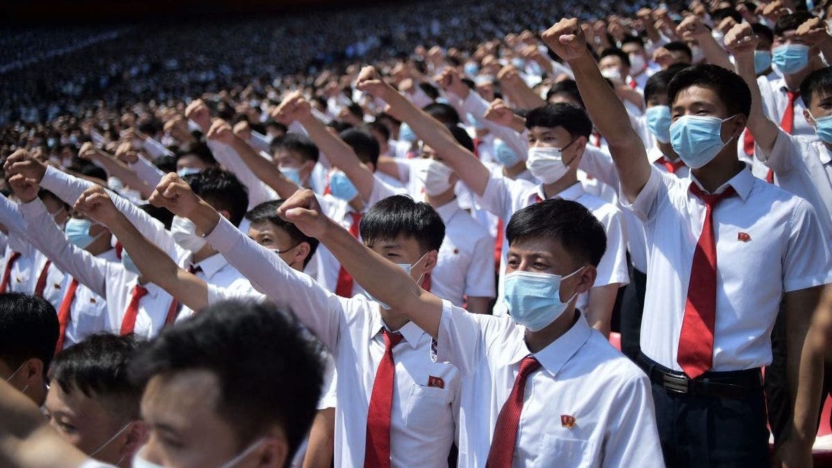 North Korea masks