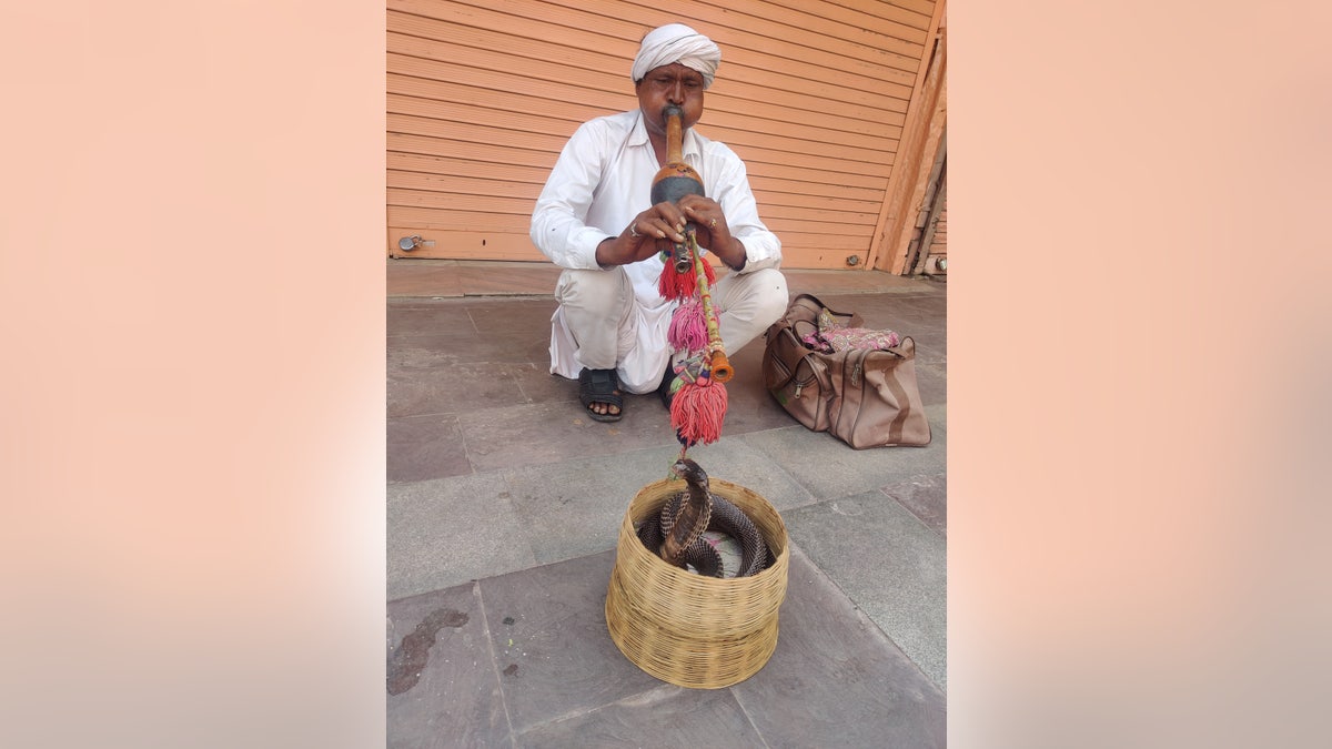 India snake charmer