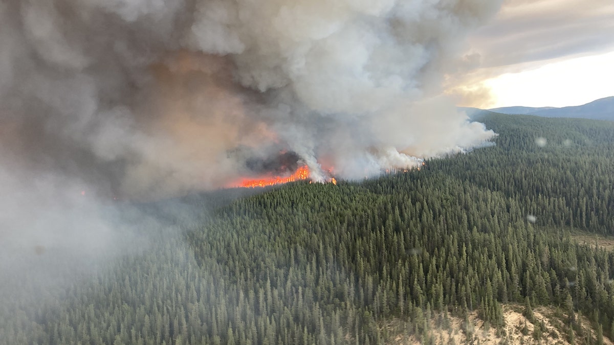 Canadian wildfire