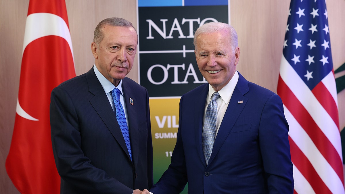Erdogan, Biden shaking hands