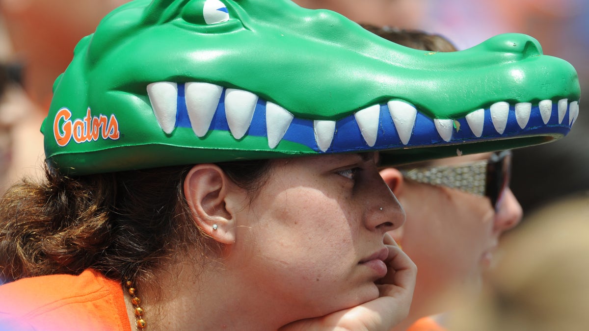 Florida Gators fan 