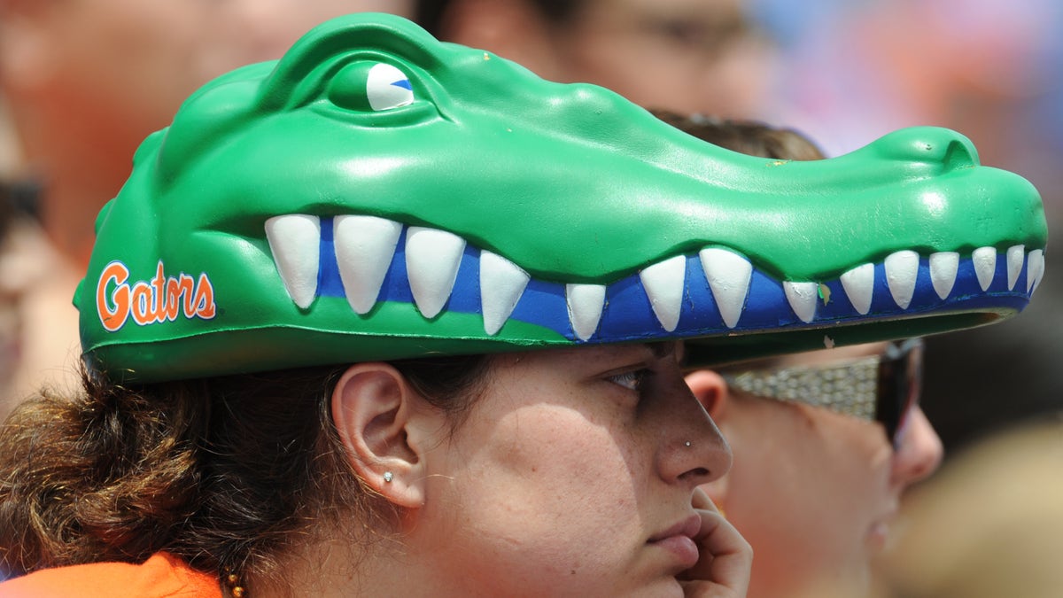 Florida Gators fan 