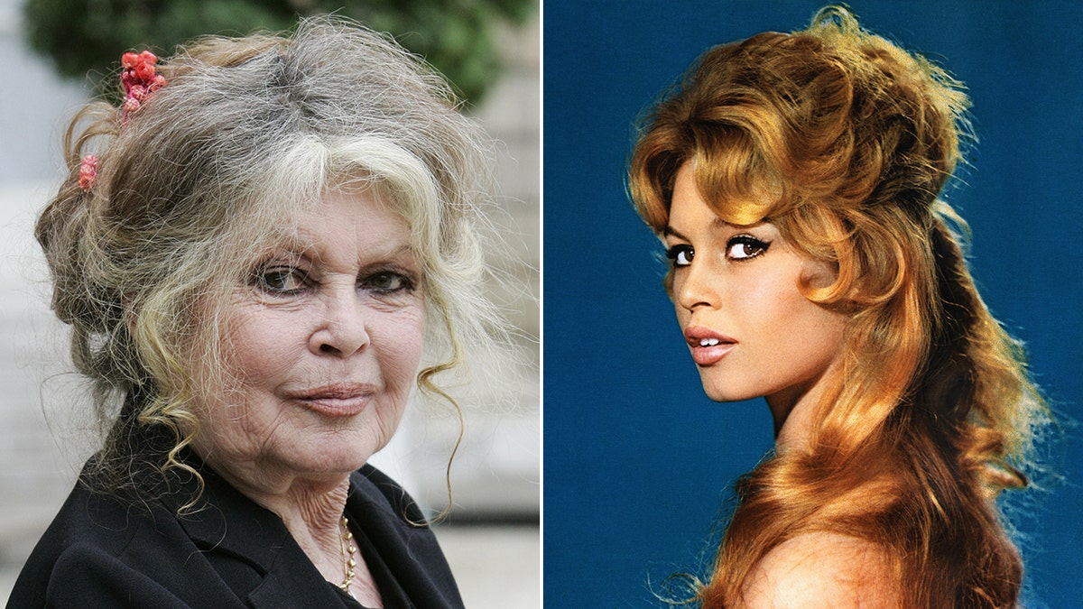 Brigitte Bardot, 88, recovering after first responders treated '60s ...