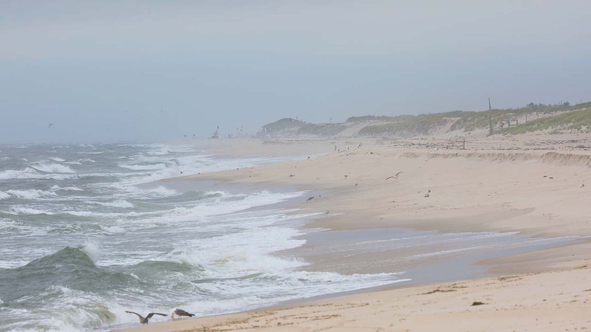 General view of Gilgo Beach