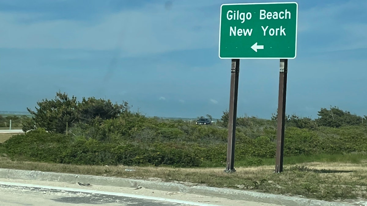 Gilgo formation motion connected Ocean Parkway NY