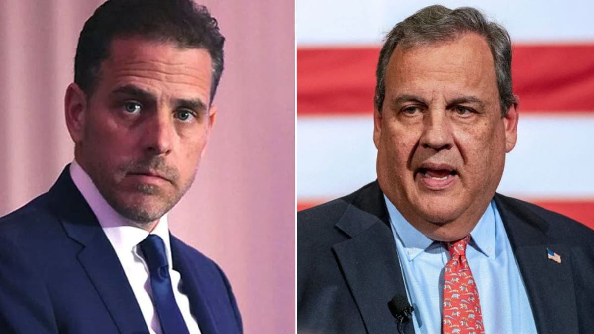 Hunter Biden Chris Christie plea deal