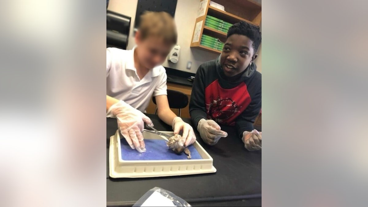 Solomon Wynn and a classmate dissect and animal in class