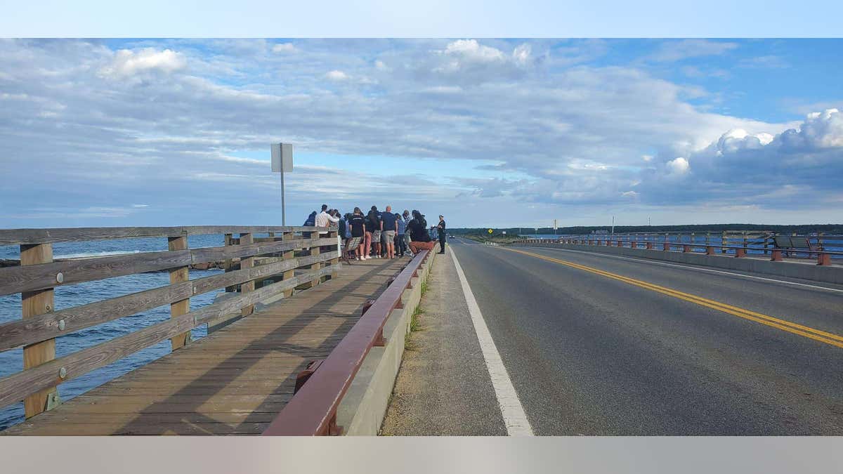 Mourners gather on Martha's Vineyard Jaws Bridge